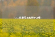 CSGO里麦菊花的奇妙之旅
