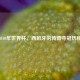 2010年世界杯，西班牙的传奇夺冠历程