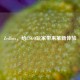 Zedbox，给CSGO玩家带来革新体验