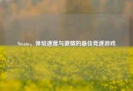 Steam，体验速度与***的更佳竞速游戏