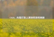CSGO，内鬼打架上演别样游戏闹剧