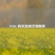 PUBG 购买流程详细解析