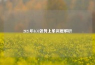 2021年LOL强势上单深度解析