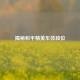 揭秘和平精英车技段位