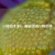 CF活动大全6，精彩活动一网打尽