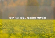 探秘 CSGO 发条，领略游戏独特魅力