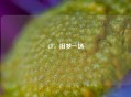 CF，旧梦一场