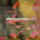 探秘科技前沿新宠儿 CF7X