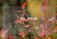 逆战，月白之殇