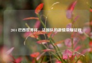 2014 巴西世界杯，法国队的***荣耀征程