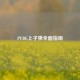 PUBG上子弹全面指南