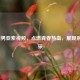 LOL骚男亚索视频，点燃青春热血，展现别样风采