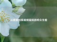 从露露投降视频窥探游戏众生相