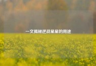 一文揭秘逆战星星的用途