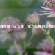 王者荣耀 Vlog 大全，全方位畅游王者世界