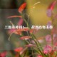三国杀神将Boss，战场恐怖主宰