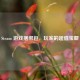 Steam 游戏捆绑包，玩家的超值宝藏