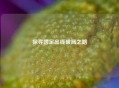 探寻国足出线破局之路