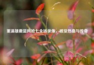 重温雄鹿篮网抢七全场录像，感受热血与传奇