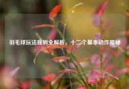 羽毛球玩法规则全解析，十二个基本动作揭秘