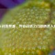 PUBG初始界面，开启战场之门却遇进入难题