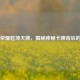 王者荣耀乾坤天牌，揭秘神秘卡牌背后的传奇