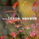Steam上作死空间，惊险乐趣共舞