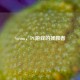 Steam，PC游戏的拯救者