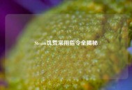Steam饥荒常用指令全揭秘