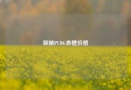 探秘PUBG赤橙价格