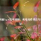 CSGO历届Top10选手回顾，各年传奇风云与Top1风采