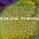 竞彩足球比分预测，科学与机遇的博弈