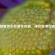 CSGO国服准心设置全攻略，准心在哪设置揭秘