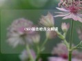 CSGO狙击枪含义解读