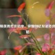 和平精英周年庆勋章，荣耀回忆见证及获取攻略