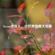 Steam迷你人，小世界蕴藏大乐趣