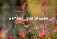 王者荣耀省标，荣耀背后的热血征程