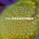PUBG 改成高清的详细指南