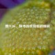 搜PUBG，探寻游戏背后的精彩