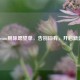 Steam删除愿望单，告别旧有，开启新选