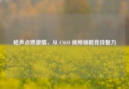 枪声点燃***，从 CSGO 视频领略竞技魅力
