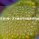 青花瓷lol版，古风雅韵与峡谷     的邂逅