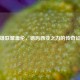 英雄联盟盖伦，德玛西亚之力的传奇征程