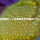深度解析，i5 处理器能否带得动 PUBG？
