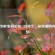 深度剖析雷柏鼠标CF压枪宏，游戏辅助的双刃剑