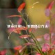 使命召唤16，军团建立     