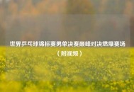 世界乒乓球锦标赛男单决赛巅峰对决燃爆赛场（附视频）