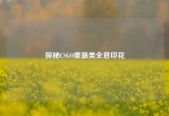 探秘CSGO里最美全息印花