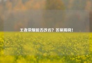 王者荣耀能否改名？答案揭晓！