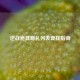 逆战道具赠礼列表查找指南